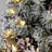 Home Heritage Pine 5' Artificial Corner Flocked Christmas Tree Prelit 100 LEDs