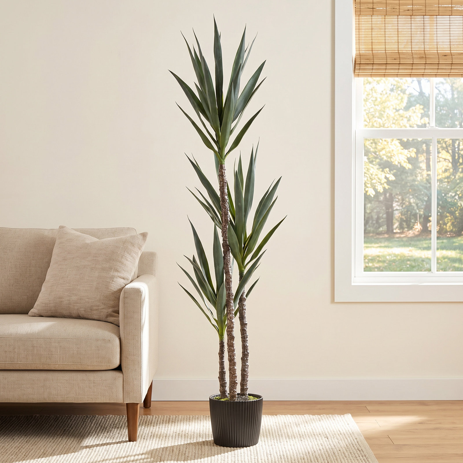 Yucca Tree in Pot, 60" H x 12" W x 12" D