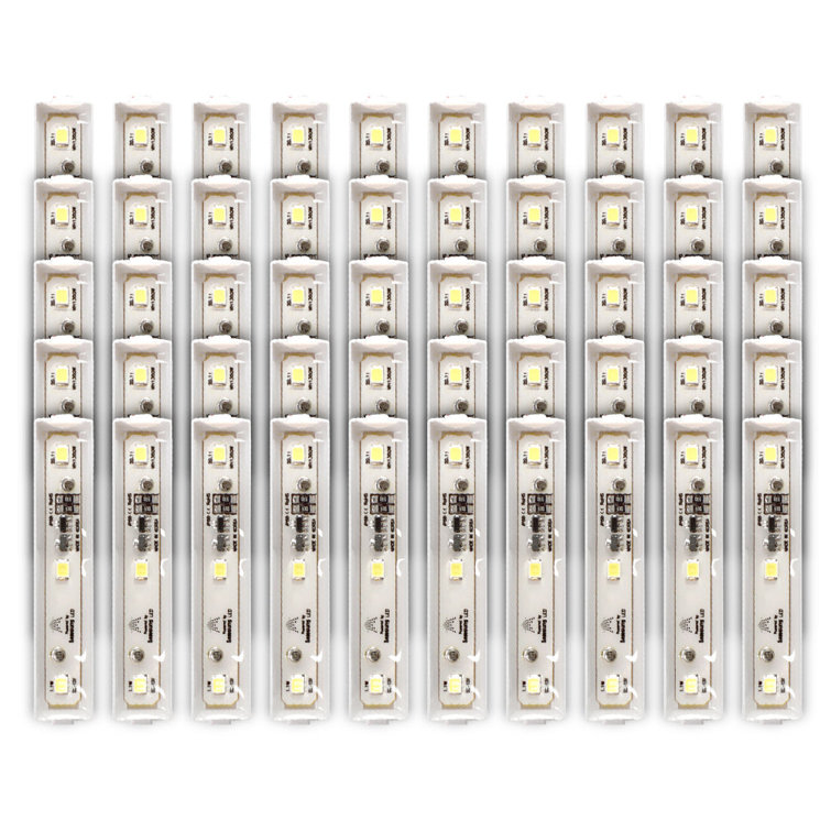 Equivalent Tube Light Dimmable 5000K LED Bulb