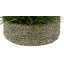 Gazon artificiel 8 po dans un panier-1972723835-1972723833-1941322100