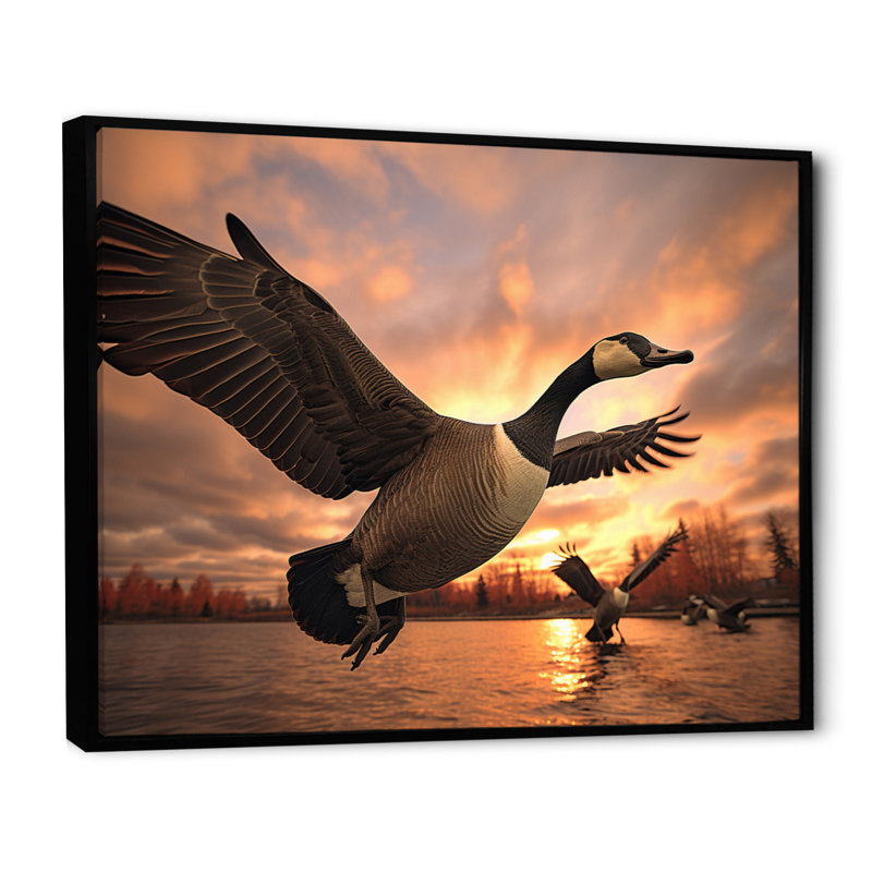 " Canada Canadian Geese I ", Black Floater Framed, 30" H x 40" W x 1.5" D