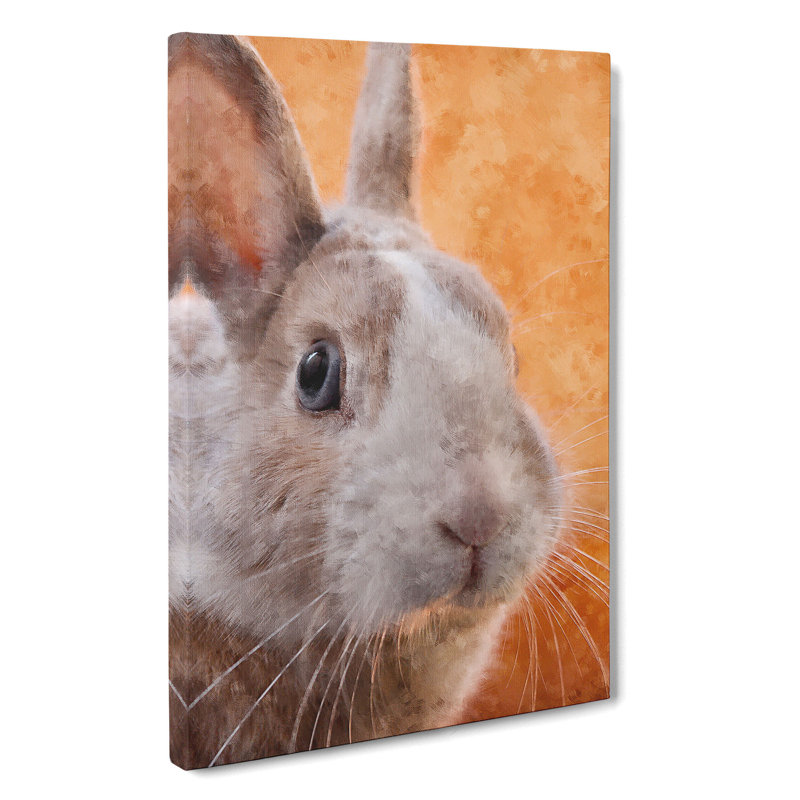 Bunny Rabbit in Colour - Wrapped Canvas, 76cm H x 50cm W x 3cm D