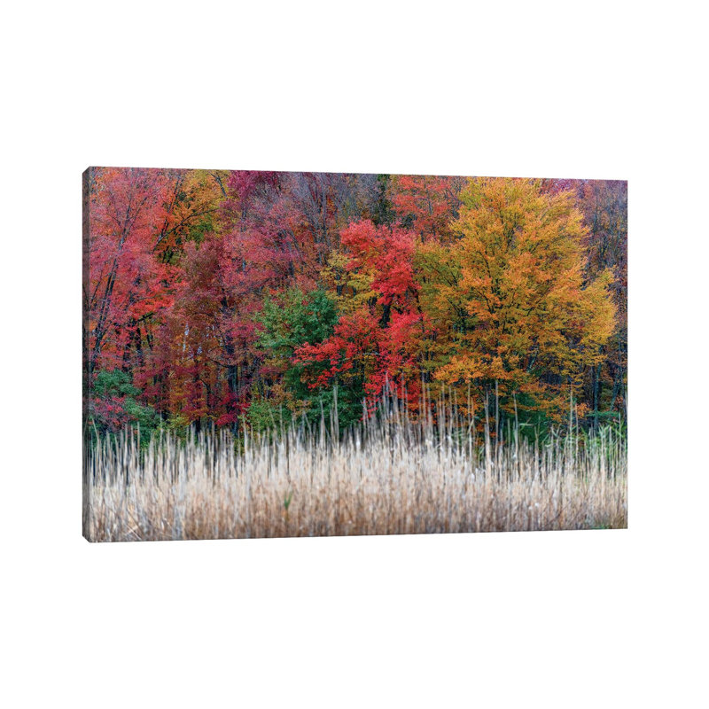 Jersey Colors by David Gardiner - Print on Canvas, Wrapped Canvas, 66.04 cm H x 45.72 cm W x 3.175 cm D