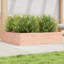 2 Wood Planter-100491930-100491953
