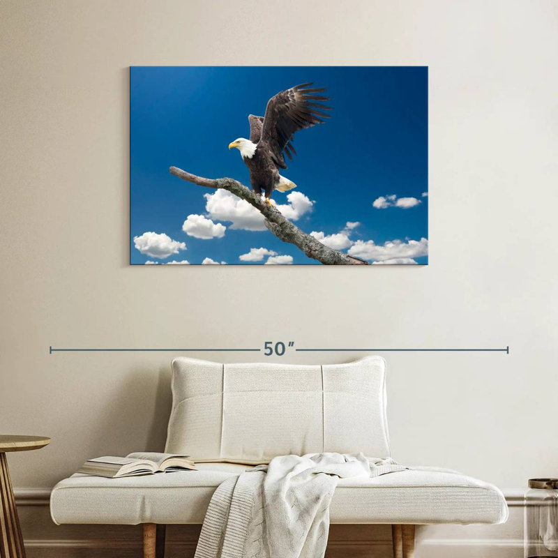 Brampt Majestic Texas Bald Eagle