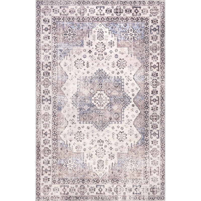 Sharyn Traditional Vintage Cotton Area Rug, Rectangle 4' x 6'