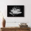 Impression sur toile de tulipes monochromes-100705618