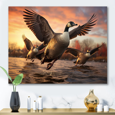 " Canada Canadian Geese II "