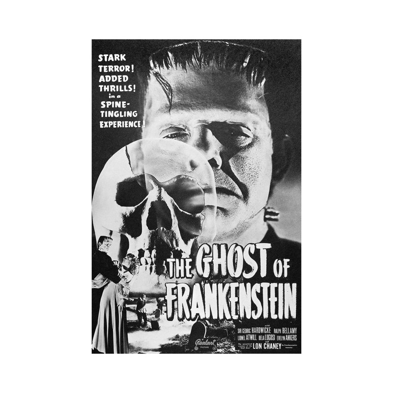 Ghost Of Frankenstein - Wrapped Canvas Print, 101.6 cm H x 66.04 cm W x 3.175 cm D