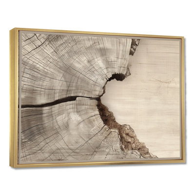 Celestial Balance On Wood Slide - Tree Wall Art, Grey Nature Canvas Print