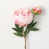 Rose pâle n'est pas disponible