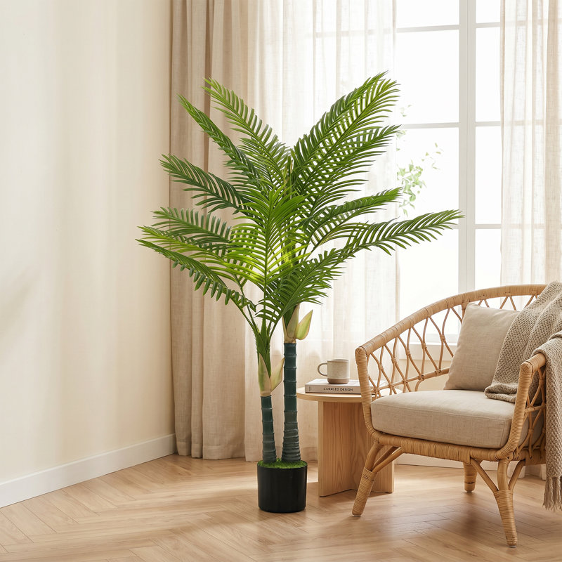 Plant