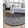 Ruttger Graphite Gray Area Rug