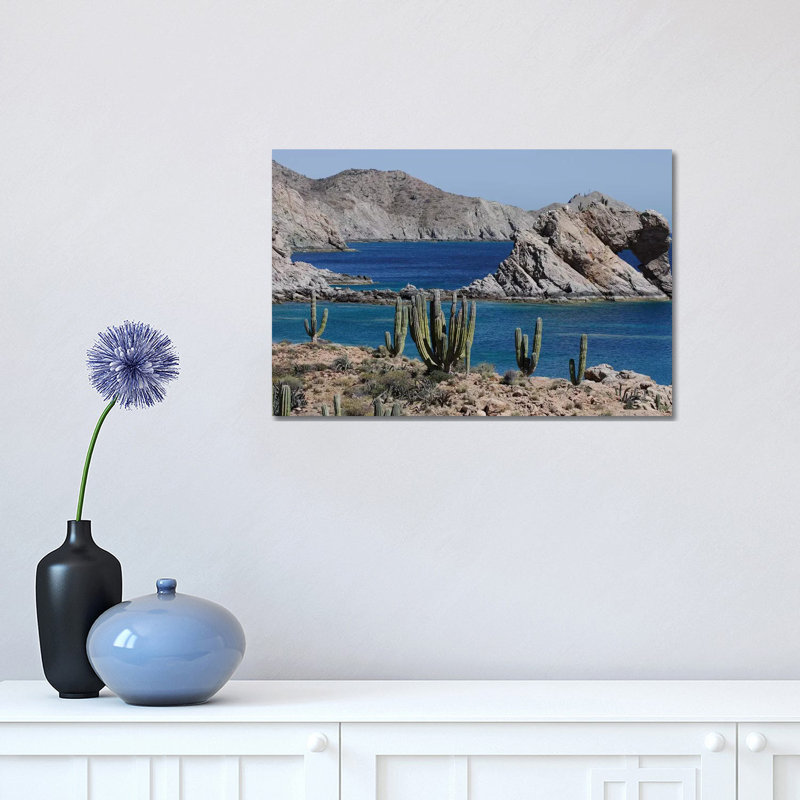 Cardon Cacti, Santa Catalina Island, Sea of Cortez, Mexico 1 Piece Wrapped Canvas Wall Art, 30.48 cm H x 45.72 cm W
