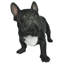 Figurine bouledogue français