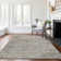 Premium Machine Washable Andreau AMF92 Gray Rug