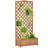 Remone Wood Planter Box with Trellis