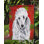 Drapeau rouge et vert Vart