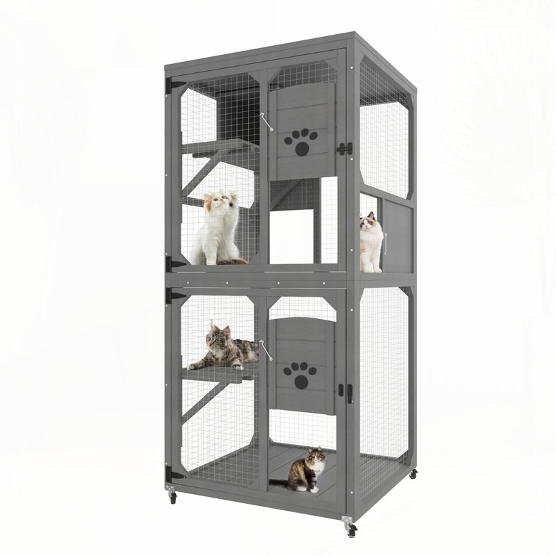 Fenêtre pour chat Catio