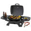 Abington Tepro Table Top Gas BBQ Grill