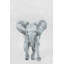 «Here Goes the Elephant II», reproduction sur toile-180469372
