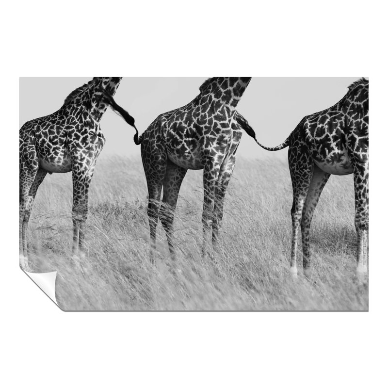 African Safari Giraffe - No Frame Print, 31cm H x 46cm W