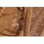 Dorn Wool Oriental Rug