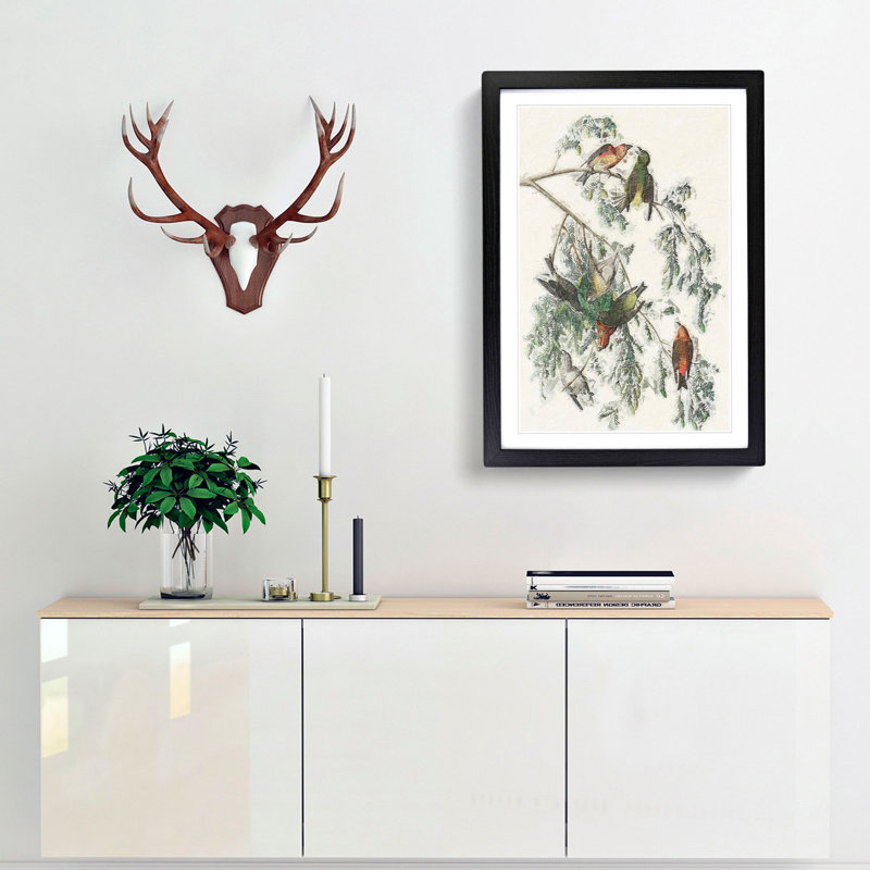 American Crossbill Birds by John Audubon - Single Picture Frame Painting, Black Framed, 33cm H x 24cm W x 2cm D