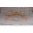 Alize Oriental Red/Ivory/Light Blue Area Rug-1863622925