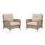 Ensemble de 2 chaises longues Braylee