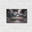 «Bumper Cars» par Roman Robroek-590144764