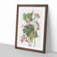 Black & Yellow Warbler Birds by John James Audubon - Picture Frame Painting Print-55512618-55512622