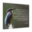 Royal Priesthood 1 Peter 2:9 - Wrapped Canvas Print-827712615