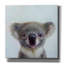 "Lil Koala" par Lucia Heffernan-1621722263