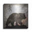«Calling Bear» par Lightbox Journal-1393180158