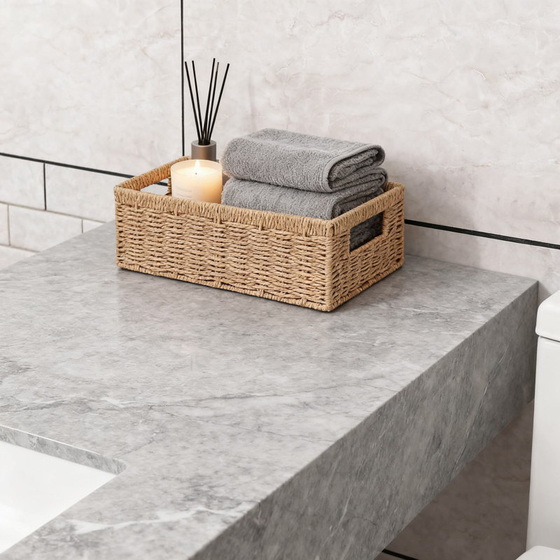 Paniers de rangement avec poignées, ensemble de 2 bacs de rangement tissés pour la salle de bain, le salon et la décoration intérieure