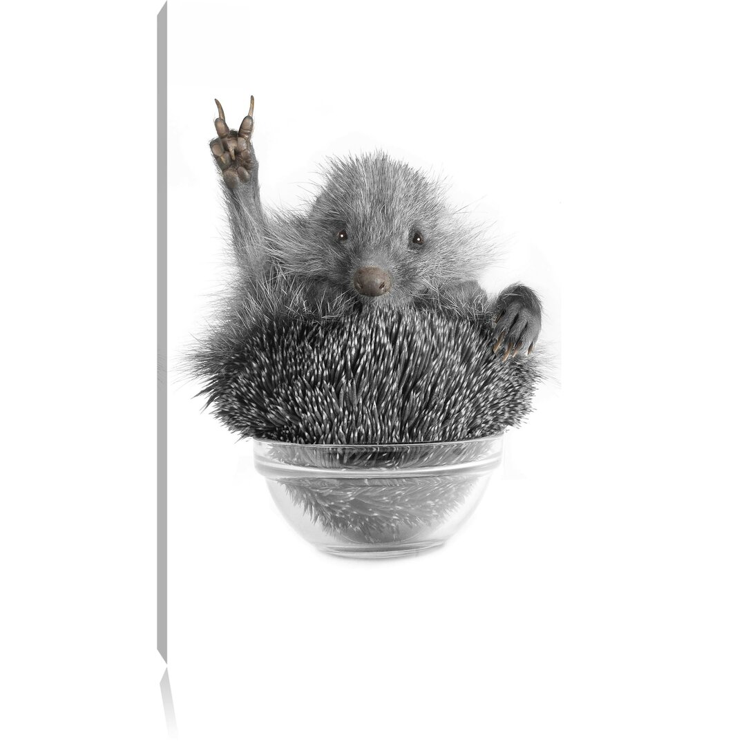 Leinwandbild Hedgehog in a Bowl