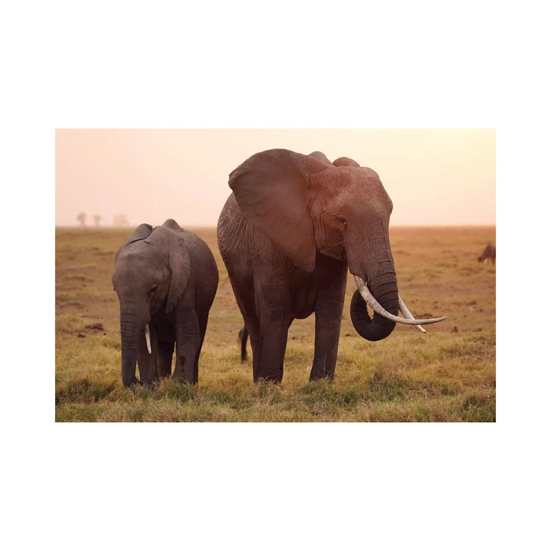 African Elephant Mother And Calf Grazing, Amboseli National Park, Kenya by Hiroya Minakuchi - Wrapped Canvas Print
