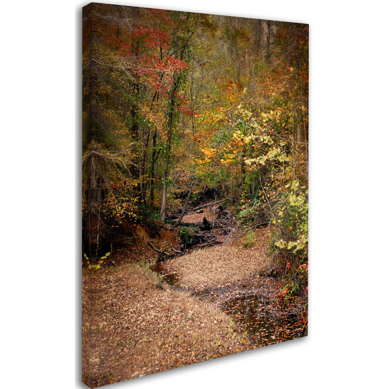 «Creek Bed in Autumn» par Vidur, reproduction de photo sur toile tendue, H 32 po x l 24 po