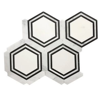 Black & White Hexagon 16-In X 14-In Polished Waterjet Mosaic Floor And Wall Tile(1.56-Sq. Ft/ Piece)