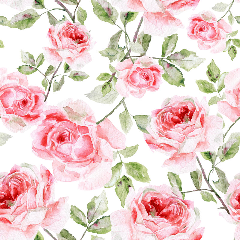 Javonte Watercolour Pink Roses - Wrapped Canvas Painting, 30cm H x 30cm W x 3.8cm D