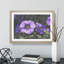 Purple Flowers - Framed Print-62758850-62758854