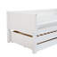 Booth Solid Wood Daybed with Trundle