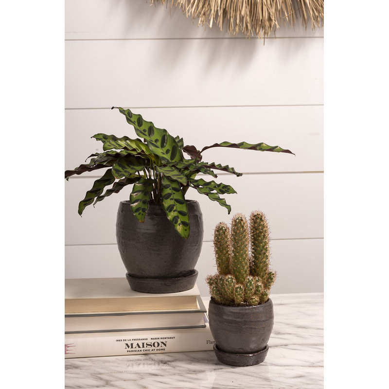 Helmuts Handmade Ceramic Pot Planter, 3.75" H x 3.5" W x 3.25" D, Black