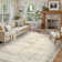  Area Rug for Living Room, Machine Washable Vintage Antique Distressed Rugs for Bedroom