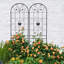Treillis polyvalent antirouille pour les plantes d'extérieur, rehaussant la beauté du jardin-801664084-801664085