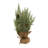 12'' Faux Cedar Tree in Freestanding