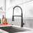 FLG 1270series Pull Down Kitchen Faucet-75030009