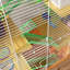 Edene Small Animal Cage-2009493535