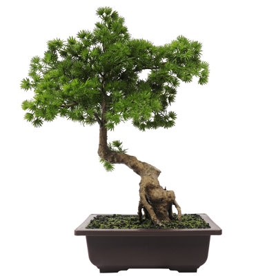 Bourdeau 18" Artificial Bonsai Tree in Pot
